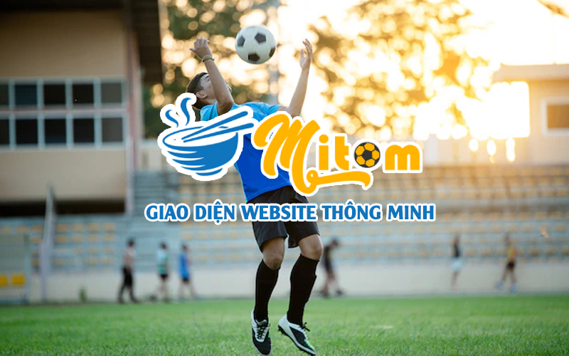 https://cdn.mitomtvw.cc/2022/08/giao-dien-website-thong-minh-de-dang-su-dung.jpg